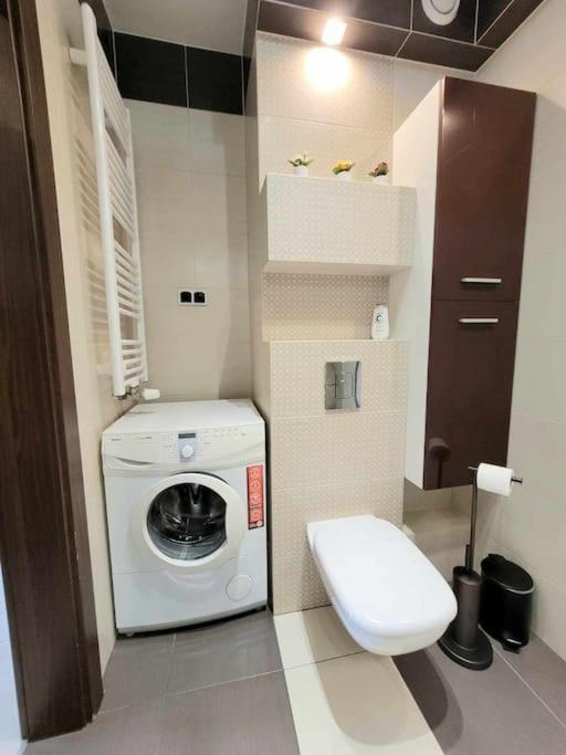 Apartment Dark Chocolate 4 Persons Down Town